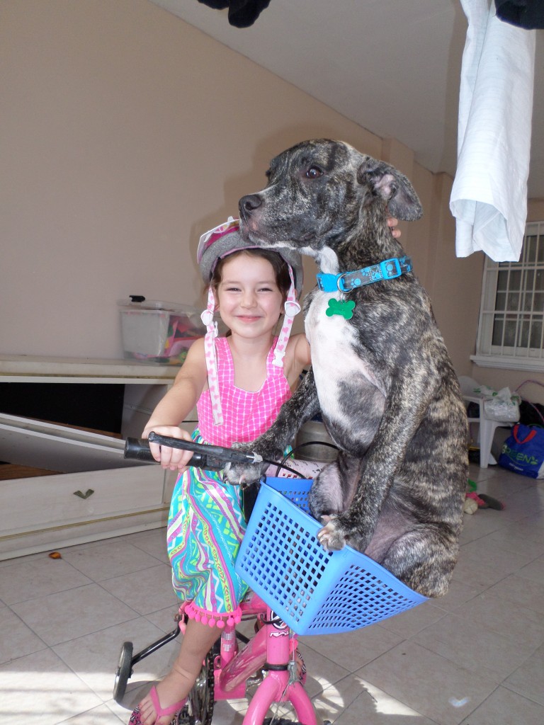 This is not photoshopped! Alan having fun with putting our puppy Samson in Kalea´s basket!