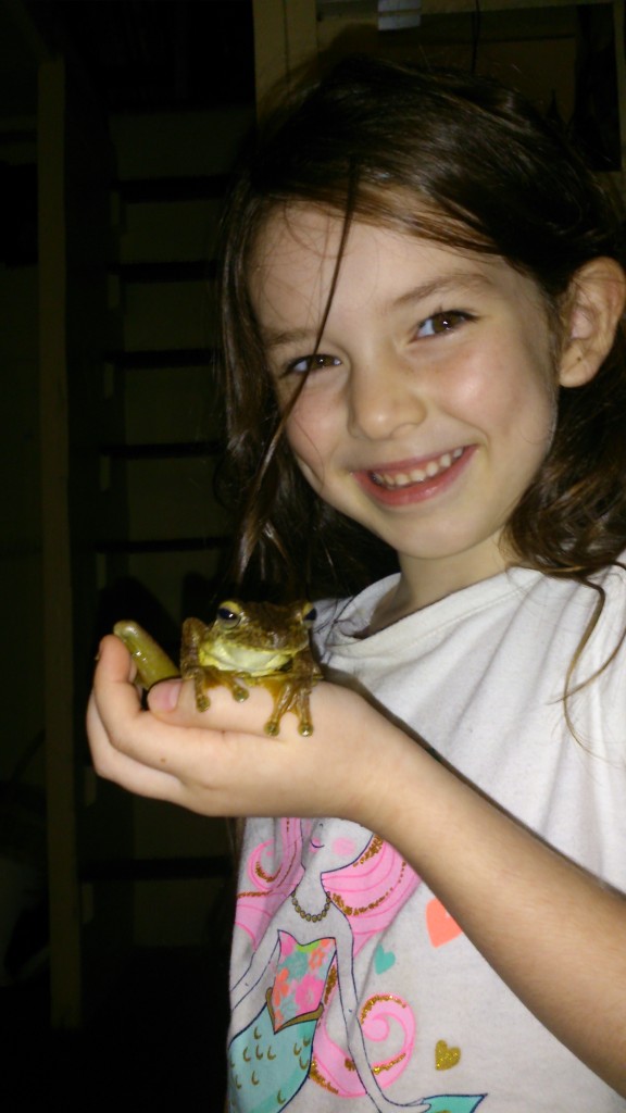 Before leaving Panama, we had a visitor. The biggest tree frog we have ever seen!